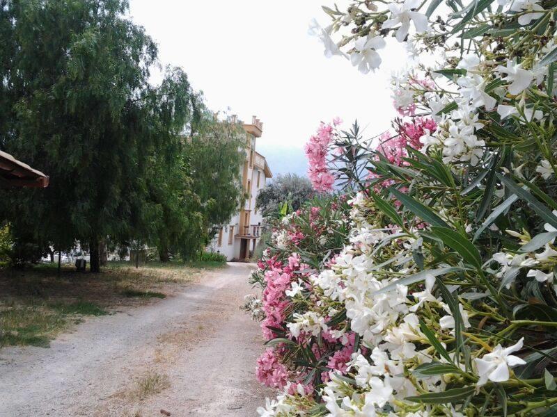Rocca Di Monreale Bed & Breakfast Екстериор снимка